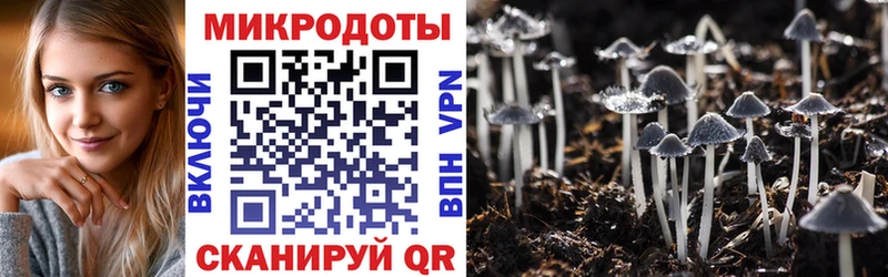 Галлюциногенные грибы ЛСД  Старая Русса 